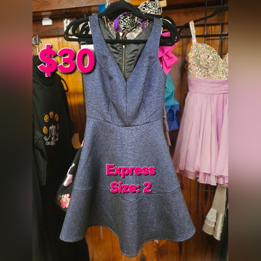 Express Navy Mini Dress